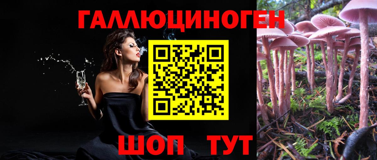 Псилоцибиновые грибы мухоморы Ростов Великий